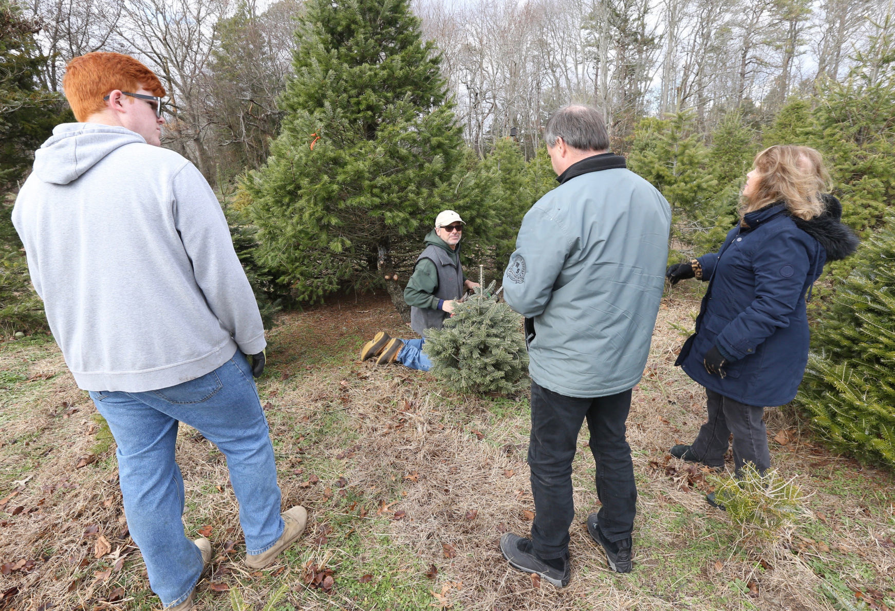 Littleworth Christmas Tree Farm